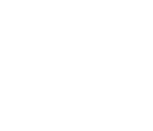 logo branco max